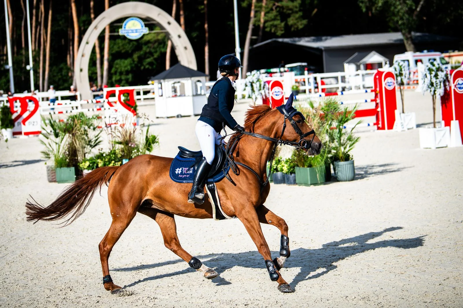 WhatsApp Image 2026-03-01 at 20.17.50.jpeg