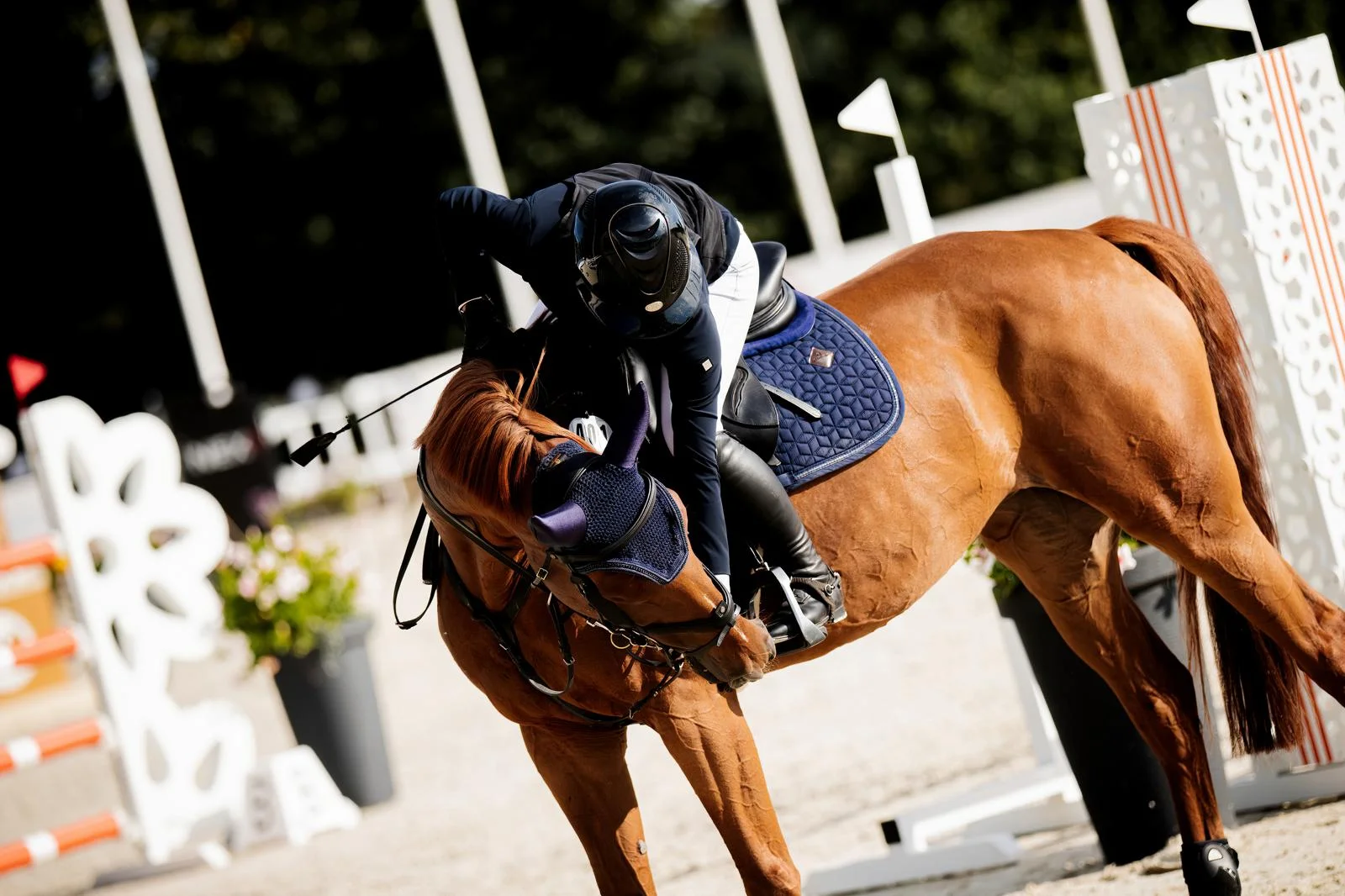 WhatsApp Image 2026-03-01 at 20.17.51 (1).jpeg