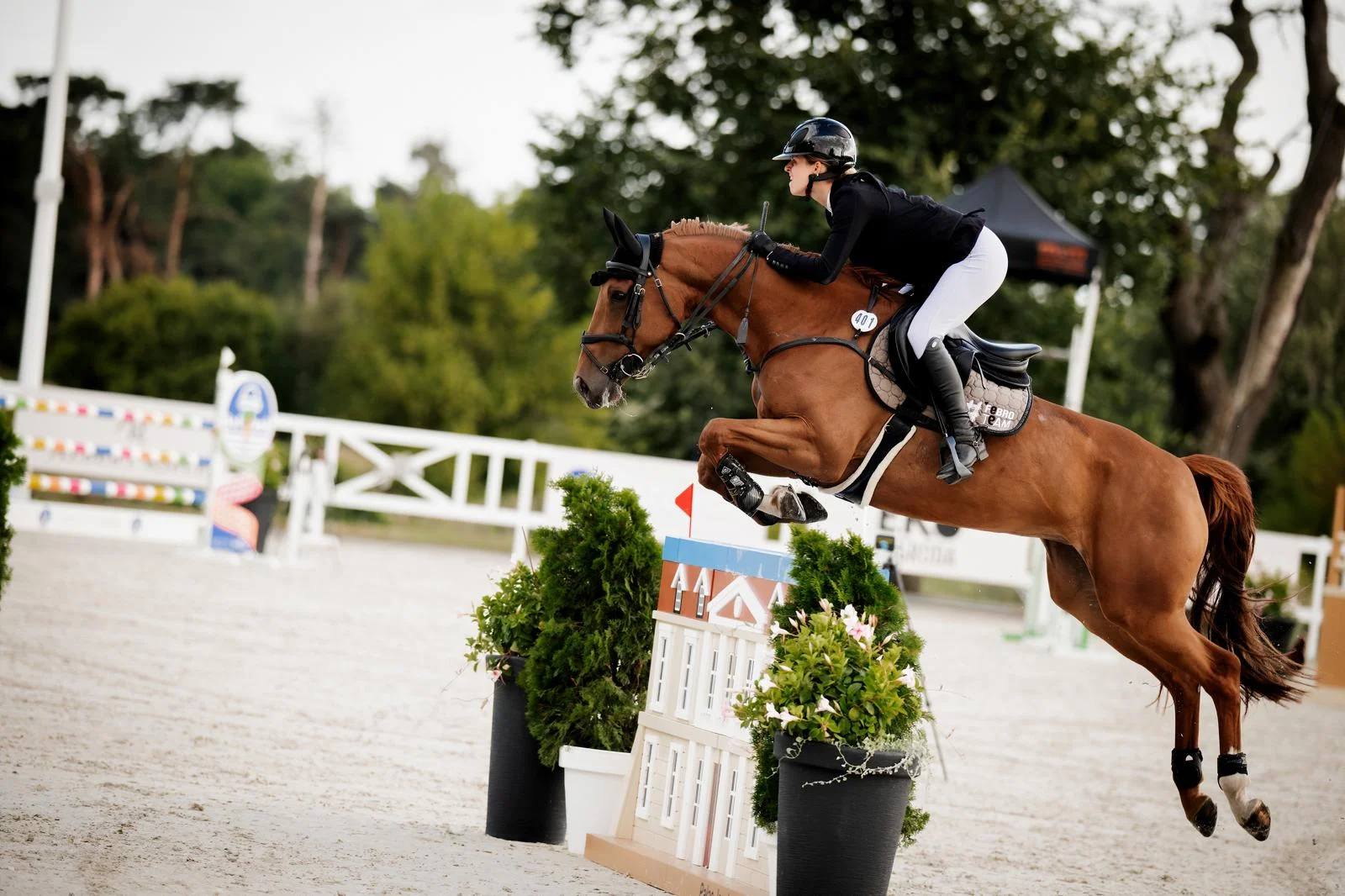 WhatsApp Image 2026-03-01 at 20.17.51 (2).jpeg