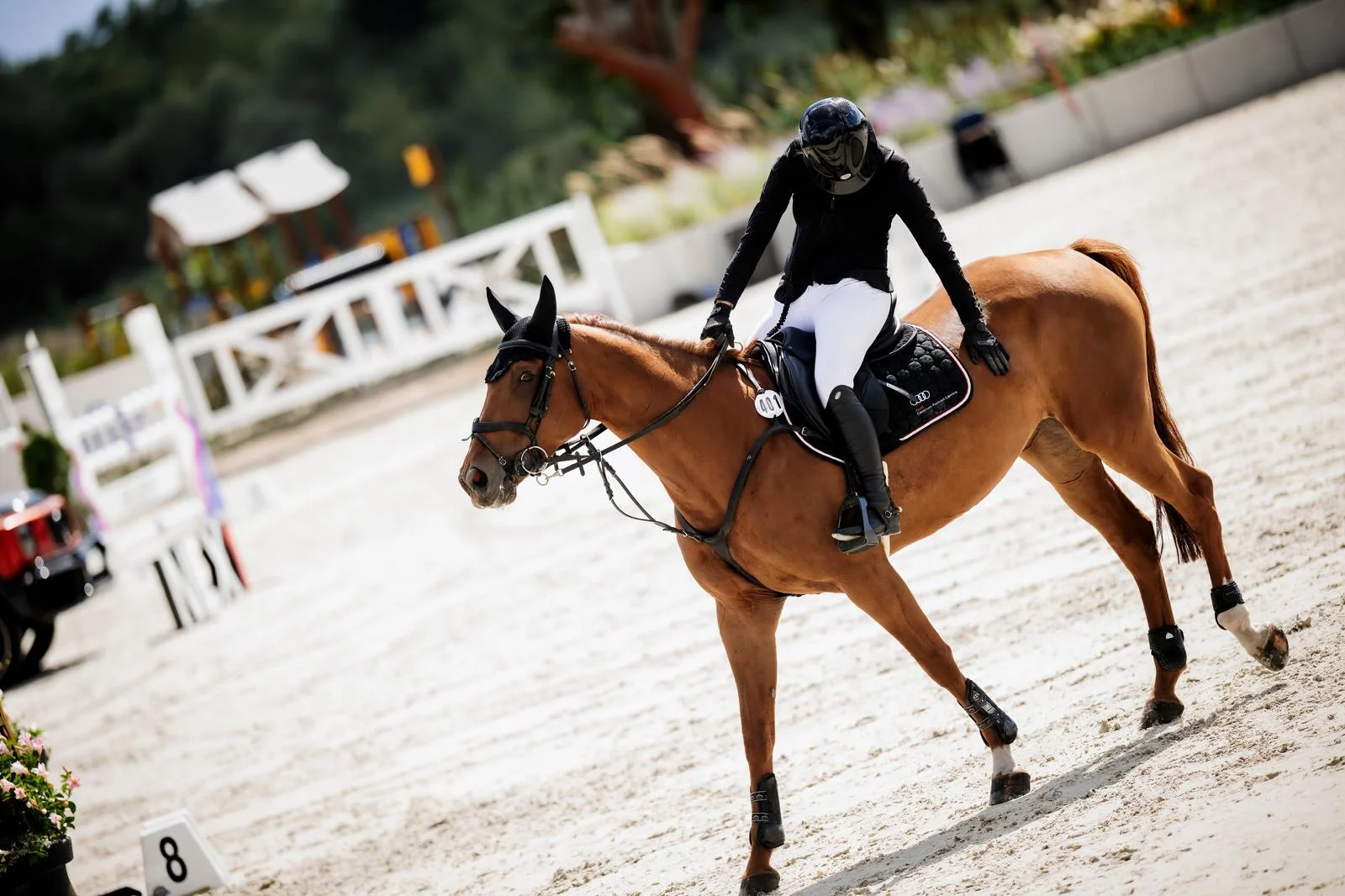 WhatsApp Image 2026-03-01 at 20.17.52.jpeg