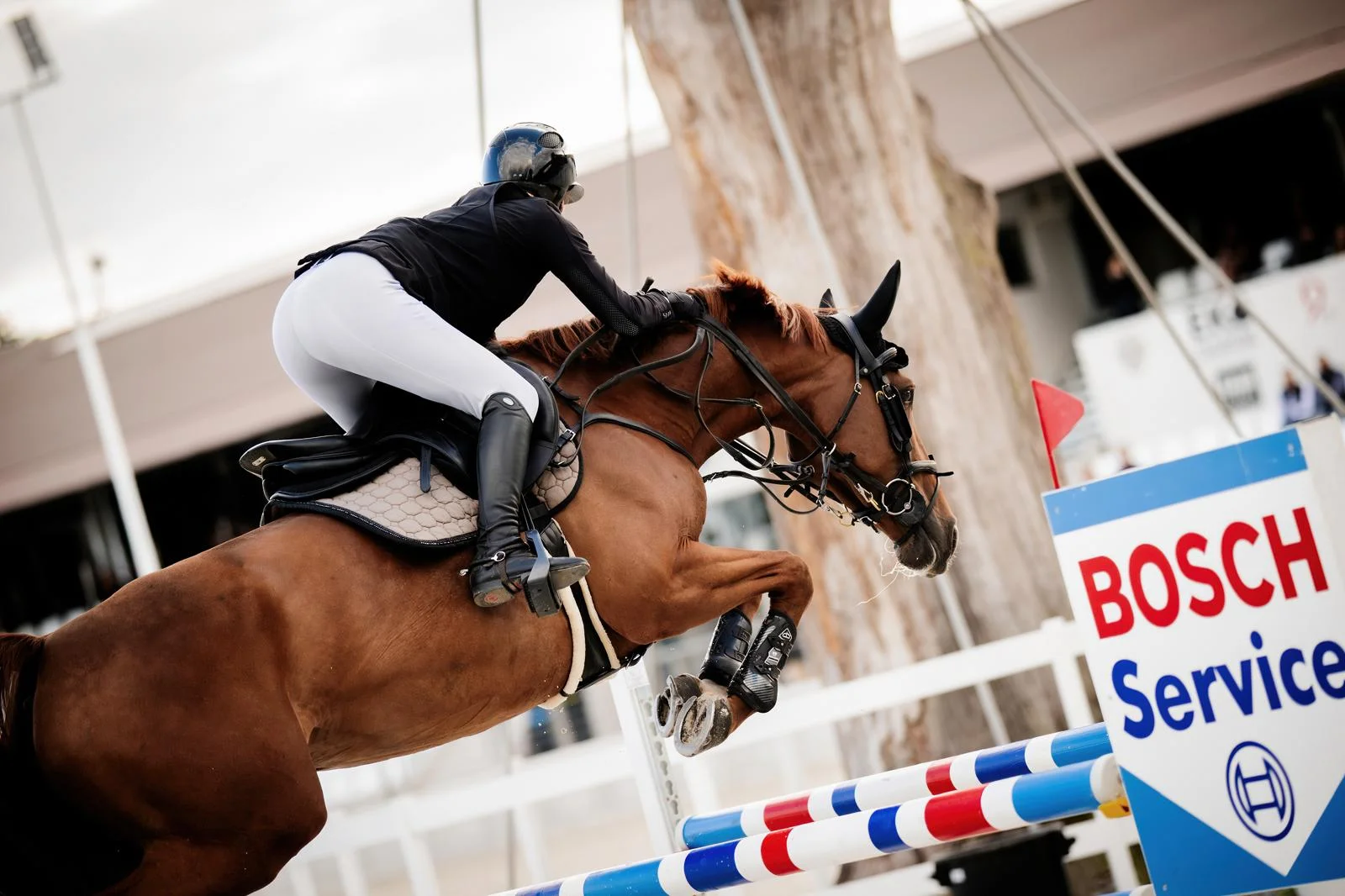 WhatsApp Image 2026-03-01 at 20.17.54 (1).jpeg