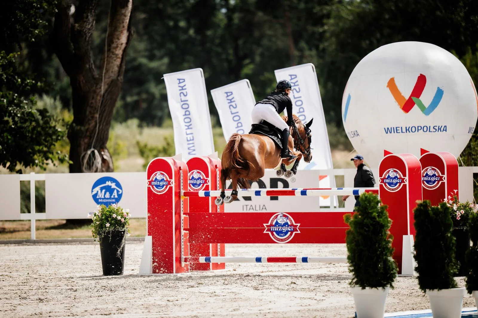 WhatsApp Image 2026-03-01 at 20.17.55 (1).jpeg