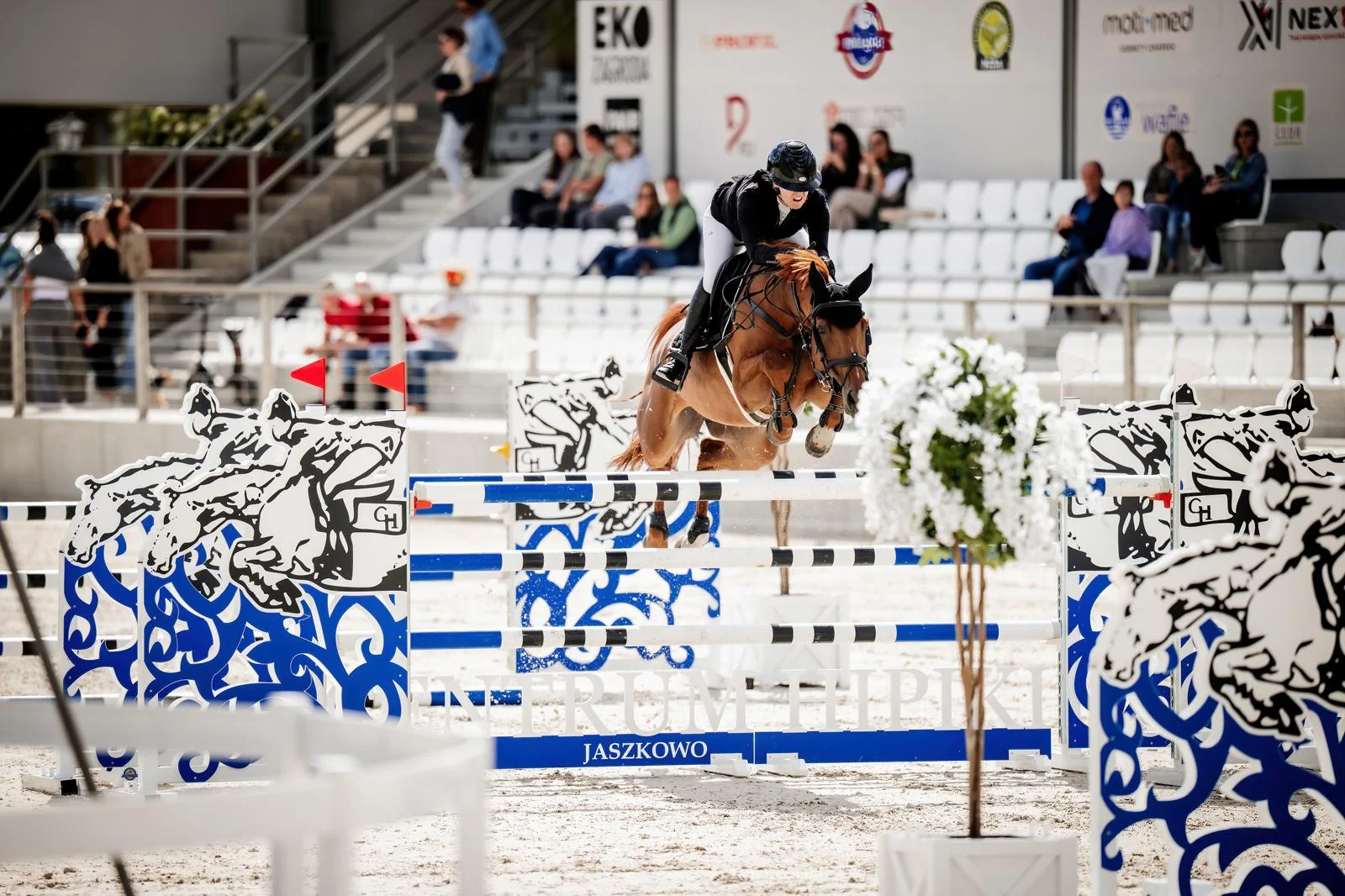 WhatsApp Image 2026-03-01 at 20.17.55 (2).jpeg