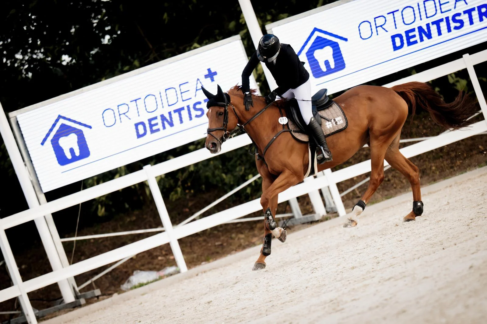 WhatsApp Image 2026-03-01 at 20.17.55.jpeg