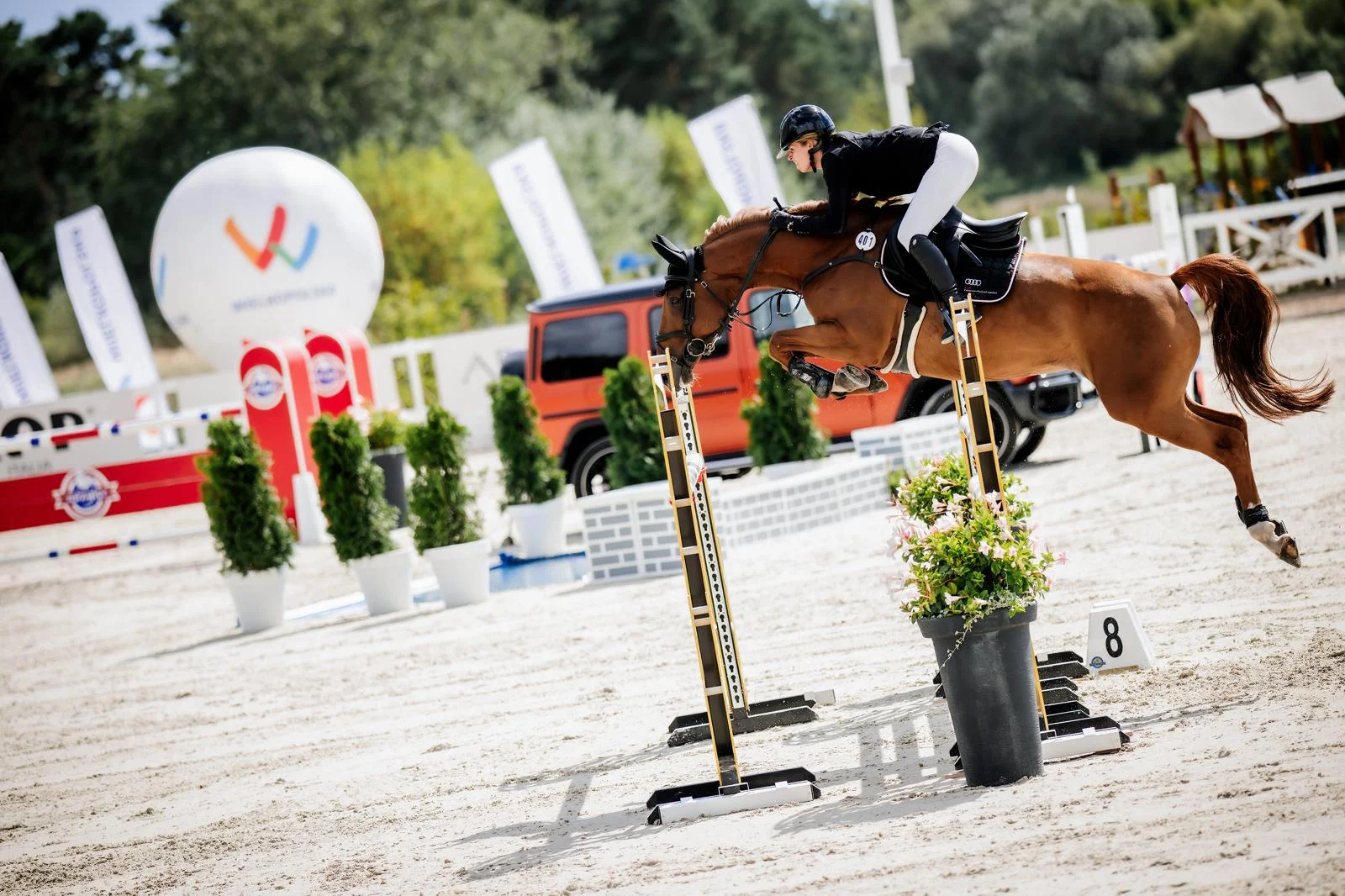 WhatsApp Image 2026-03-01 at 20.17.56.jpeg